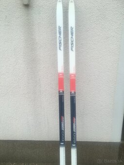 Bezky FISCHER Royal Crown - 6