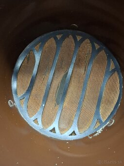 Rok 1923 ☆ BRITISH THOMSON HOUSTON ☆ BTH C2 - 6