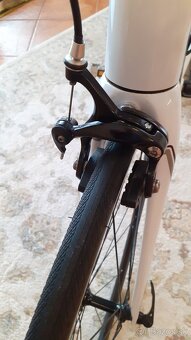 MERIDA. - 6