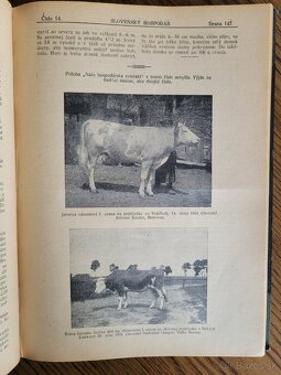 Slovenský hospodár 1924,1925 - 6