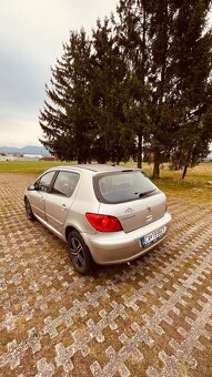 Peugeot 307 - 6