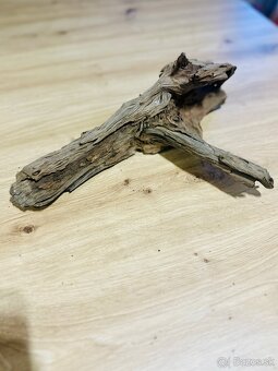 Koren do akvaria - 6