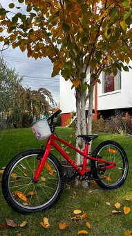 Specialized Jett 20 - 6