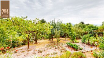 PREDAJ, ZÁHRADA S DVOMA CHATAMI, NOVÁ HORA, STUPAVA - 6