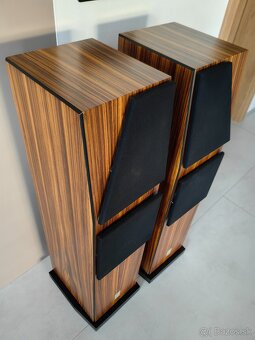 Sonics Amerigo - 6