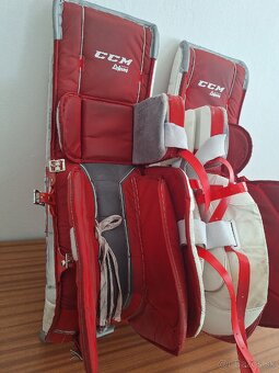 Brankárske betóny CCM EFlex 3 - 6