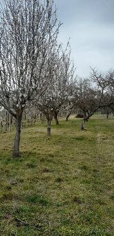 Predám pozemok s unimobunkou a vínnou pivnicou - 6