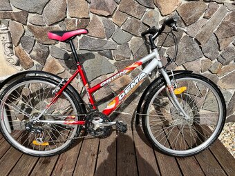 Dámsky bicykel - 6