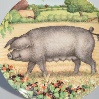 Porcelánové taniere z Anglicka - Šťastné prasiatka na lúke - 6