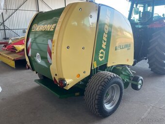 Lis Krone Belima - 6