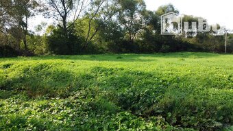 Veľký, rovinatý pozemok na predaj, Žabokreky, 3 860 m2. - 6