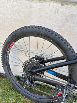 Trek remedy - 6