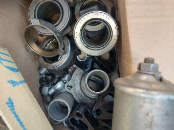 Felicia, Octavia, Spartak - 6