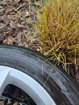 Skoda cygnus r15 letne - 6