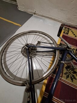 Favorit zavodnicka - 6