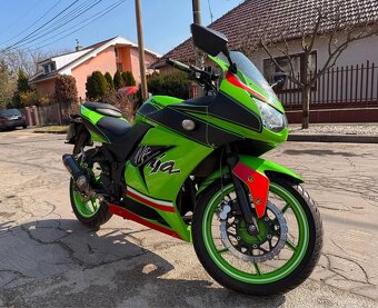 Kawasaki Ninja zx250r 2010 - 6