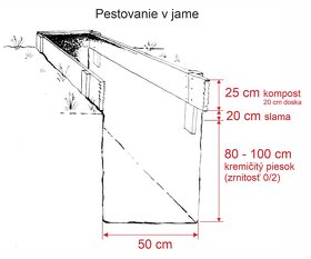 Svetelný koreň - semiačka, jednoročky, čerstvý, prášok - 6