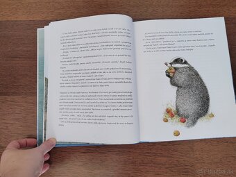 Oto a tajomné vianočné svetlo - NOVÁ - 6