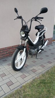 Manet Korado - 6