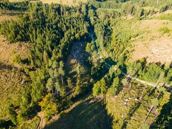 HOSPODÁRSKY LES V OBCI BUDIŠ V OKRESE TURČIANSKE TEPLICE - 6