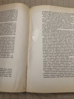 Majster Pavol z Levoče - 6