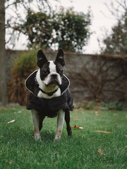 fujifilm gfx 50sii - 6
