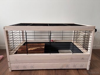Zákrslý zajačik teddy gén + všetká výbava - 6
