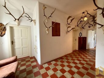 DOM NA SAMOTE POD LESOM, POZEMOK 3.160m2, CEROVÁ - 6