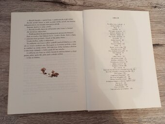 Div a zázrak M.Bulatov - 6