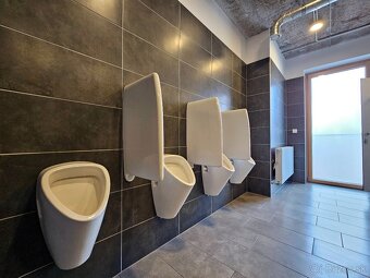 Kancelárske a obchodné priestory, Dominikánske námestie, KE - 6