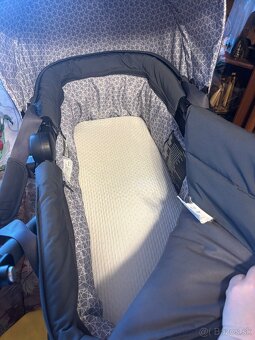 Kocik Concord Wanderer - 6