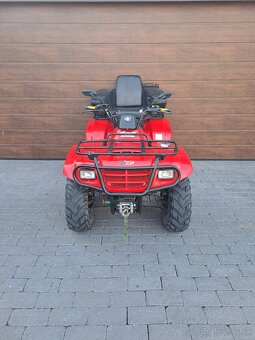 Suzuki Eiger 400 - 6