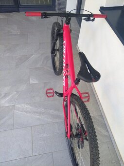 Specialized - 6