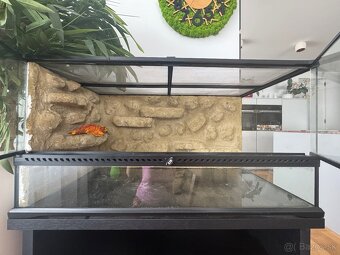 Terarium so skrinkou - 6