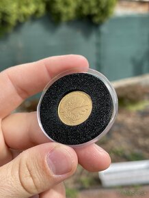 Zlata minca Dubček - 6