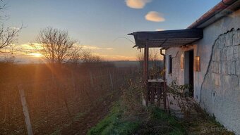Viničný domček s veľkým pozemkom a krásnym výhľadom, Vráble - 6