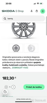 Zimné pneumatiky / disky Minoris r16 - 6