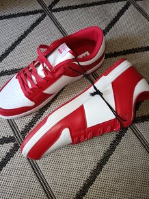 Usa champions AKCIA - 6