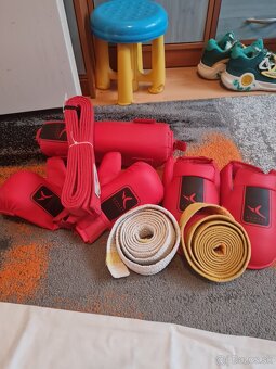 Kimono a set chráničov - 6