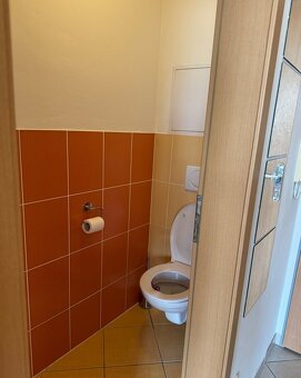 2 izbový byt v kúpeľnom mestečku Trenčianske Teplice - 6