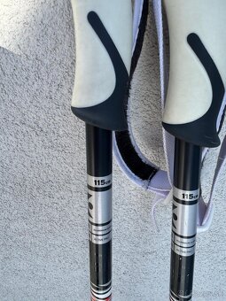 Lyže dámske Dynastar 153 cm - 6