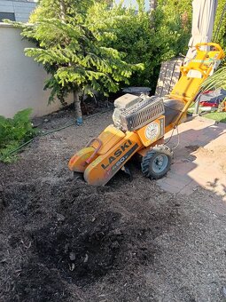 Frézovanie pňov, odstraňovanie pňov, výrub stromov - 6