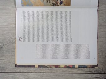 Hála v Lomnici - Marián Kvasnička - 6