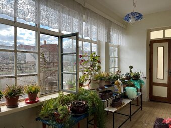 Exkluzívne u nás ( Gombaiho ulica) - 6