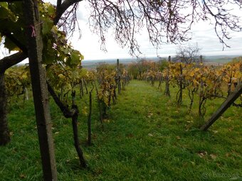 Romantický viničný domček . - 6