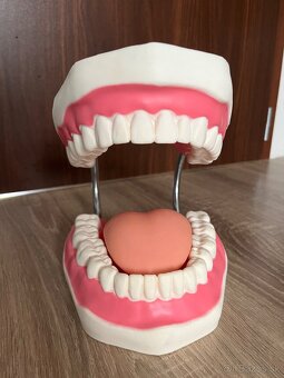 Dentálna hygiena - 6