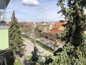 Prenajmem zrekonštruovaný svetlý 1-izbový byt v Skalici - 6