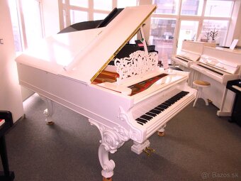 jedinečný unikát Steinway & Sons z roku 1860 - 6