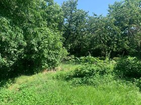 Pozemok v BA I, Starom Meste, na rodinné domy - 6