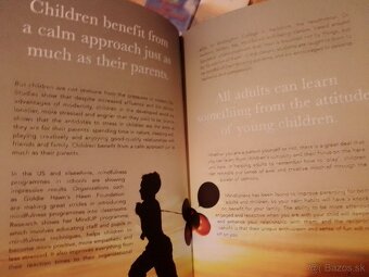 Knihy- mačky, zvieratá, levy, fínčina, Calm (v angličtine) - 6